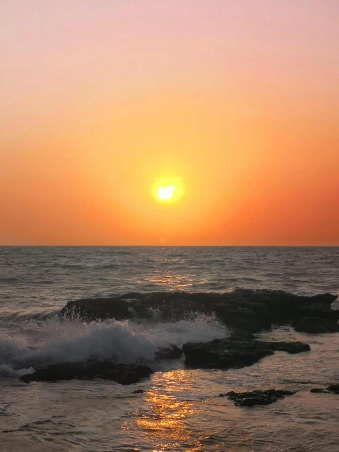 Hippie Hostel أنجونا المظهر الخارجي الصورة