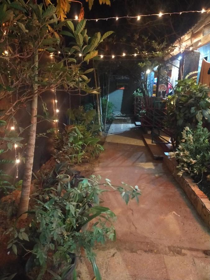 Hippie Hostel أنجونا المظهر الخارجي الصورة